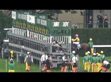 【ヴィクトリアマイル2025】アリスヴェリテのゲート入りで場内が沸いた！ アスコリピチェーノ大外一気で全馬差し切りV【現地レース映像】