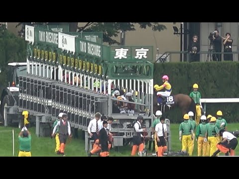 【ヴィクトリアマイル2025】アリスヴェリテのゲート入りで場内が沸いた！ アスコリピチェーノ大外一気で全馬差し切りV【現地レース映像】