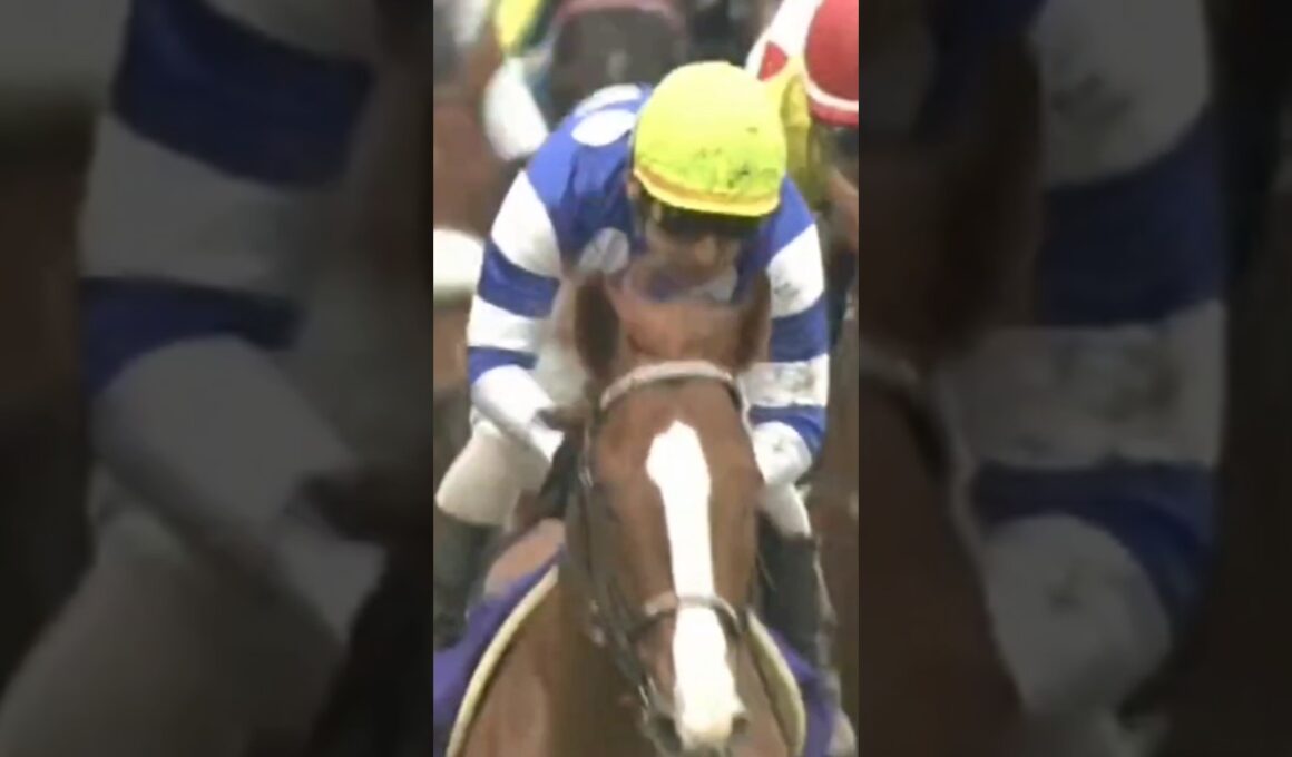 #shorts 2008 NHKマイルカップ #ディープスカイ #四位洋文