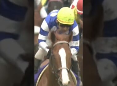 #shorts 2008 NHKマイルカップ #ディープスカイ #四位洋文