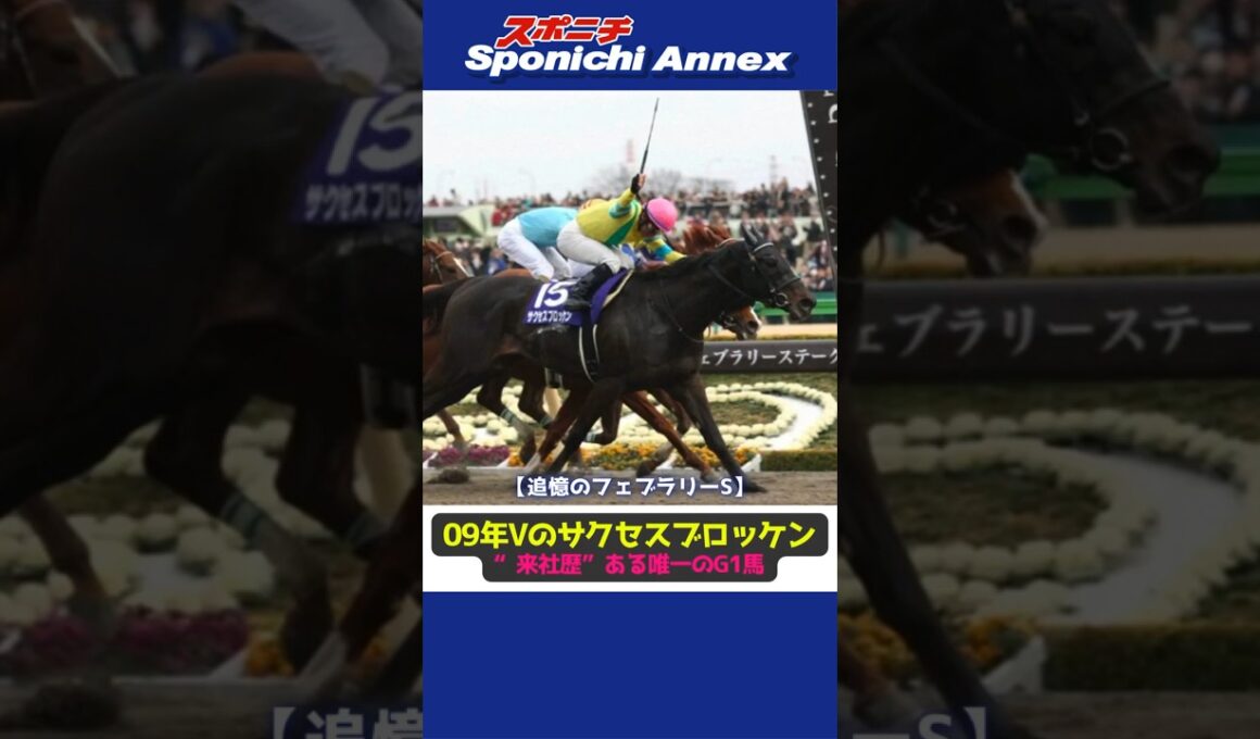 【追憶のフェブラリーS】09年Vのサクセスブロッケン　“来社歴”ある唯一のG1馬 #shorts #フェブラリーS #サクセスブロッケン