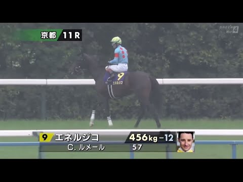 2025年第86回菊花賞〔GⅠ〕本馬場入場