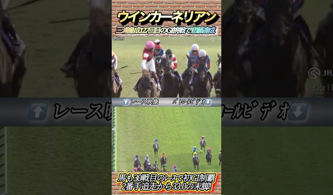 三浦皇成に初GI制覇を捧げたウインカーネリアンの走りに感動した‼︎ 　#競馬  #スプリンターズステークス  #ウインカーネリアン  #三浦皇成  #shorts