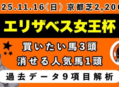 【エリザベス女王杯2025】過去データ9項目解析!!買いたい馬3頭と消せる人気馬1頭について(競馬予想)