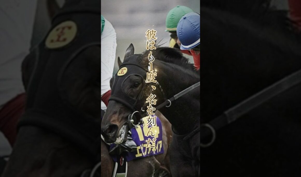 #安田記念 #安田記念2025 #競馬 #ロゴタイプ #サイン馬券