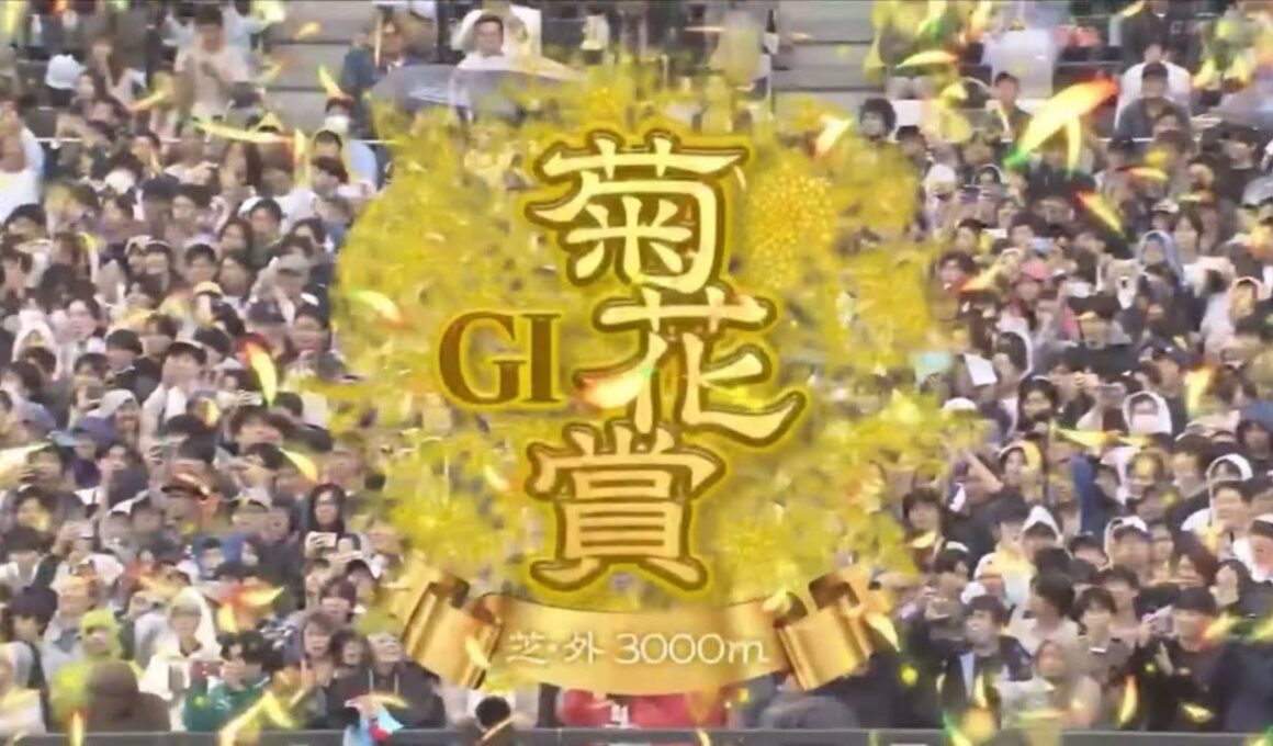 京都11R 第86回菊花賞（GⅠ）