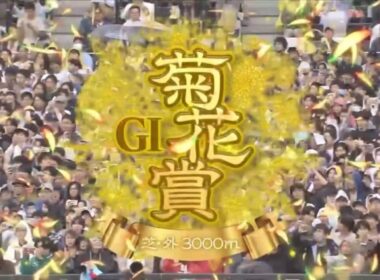 京都11R 第86回菊花賞（GⅠ）
