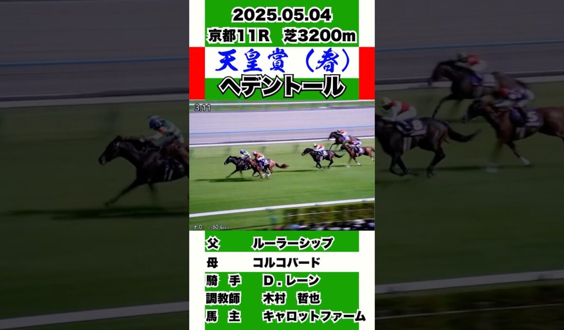 ヘデントール【天皇賞春2025】