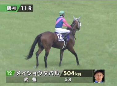 2025年第66回宝塚記念〔GⅠ〕本馬場入場