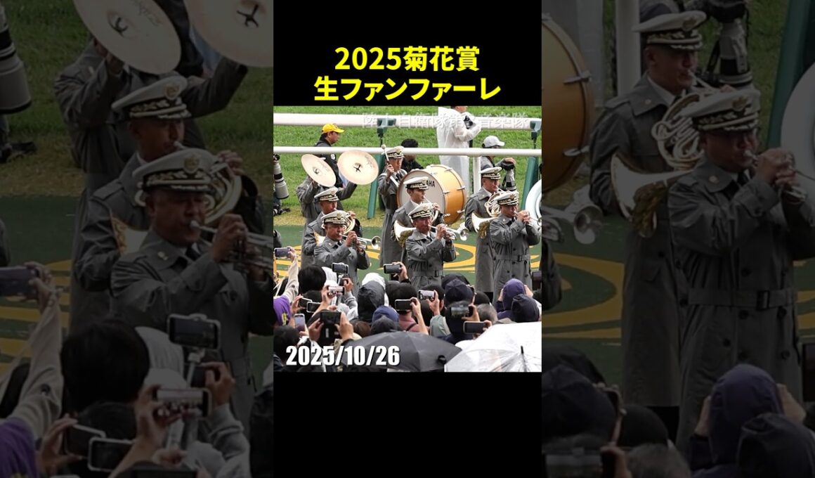 2025年第86回菊花賞のG1生ファンファーレ演奏～陸上自衛隊第3音楽隊 #ファンファーレ #菊花賞 #現地映像 #競馬 #shorts