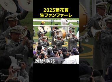 2025年第86回菊花賞のG1生ファンファーレ演奏～陸上自衛隊第3音楽隊 #ファンファーレ #菊花賞 #現地映像 #競馬 #shorts