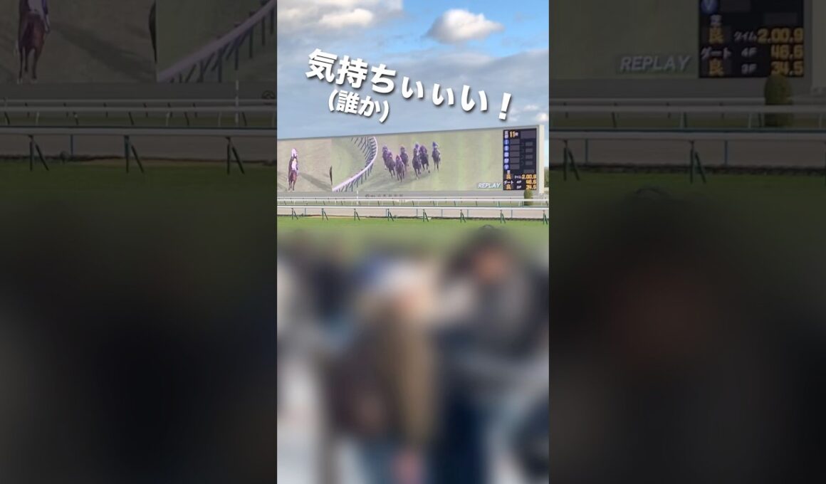 【快感】競馬は声がでかい者が勝つ⁉︎現地の直線はこれだからやめられない #競馬女子 #阪神ジュベナイルフィリーズ #阪神jf #中日新聞杯