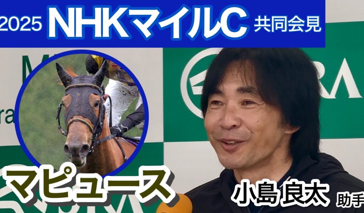【NHKマイルカップ2025】マピュースは「３歳牝馬とは思えない風格」と和田勇厩舎の小島助手…ＪＲＡ共同会見