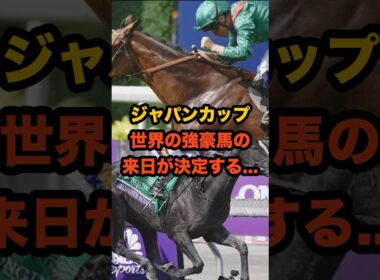 ジャパンCに欧州年度代表馬候補が参戦！2005年以来の外国馬制覇なるか…#競馬 #ジャパンカップ #ダノンデサイル #マスカレードボール #クロワデュノール #カランダガン