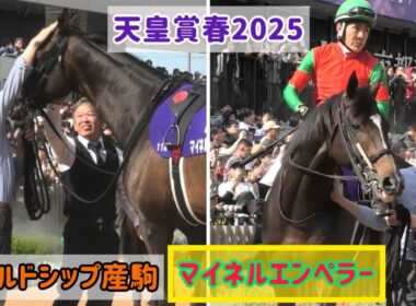 【天皇賞春2025】初GⅠで５着に健闘❗️見せ場たっぷりかっこいいマイネルエンペラーと丹内騎手【ゴールドシップ産駒】