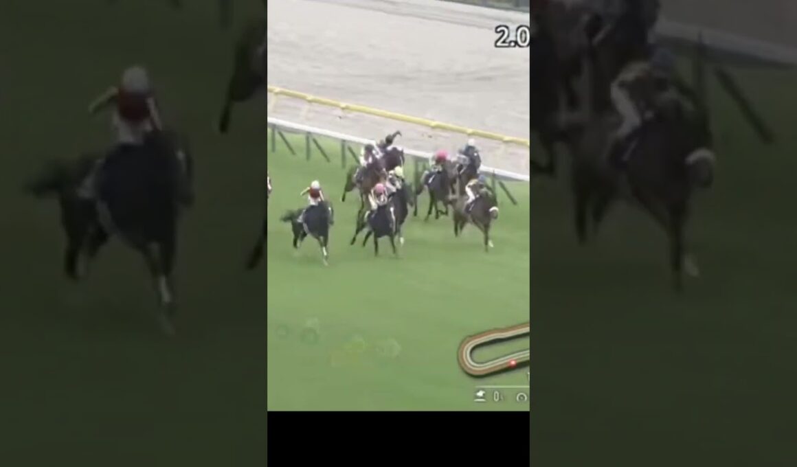 【🐎2024年】優駿牝馬（日本オークス）GⅠ【チェルビニア/C.ルメール】