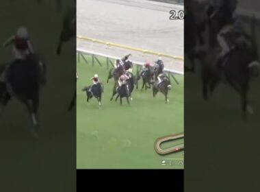 【🐎2024年】優駿牝馬（日本オークス）GⅠ【チェルビニア/C.ルメール】