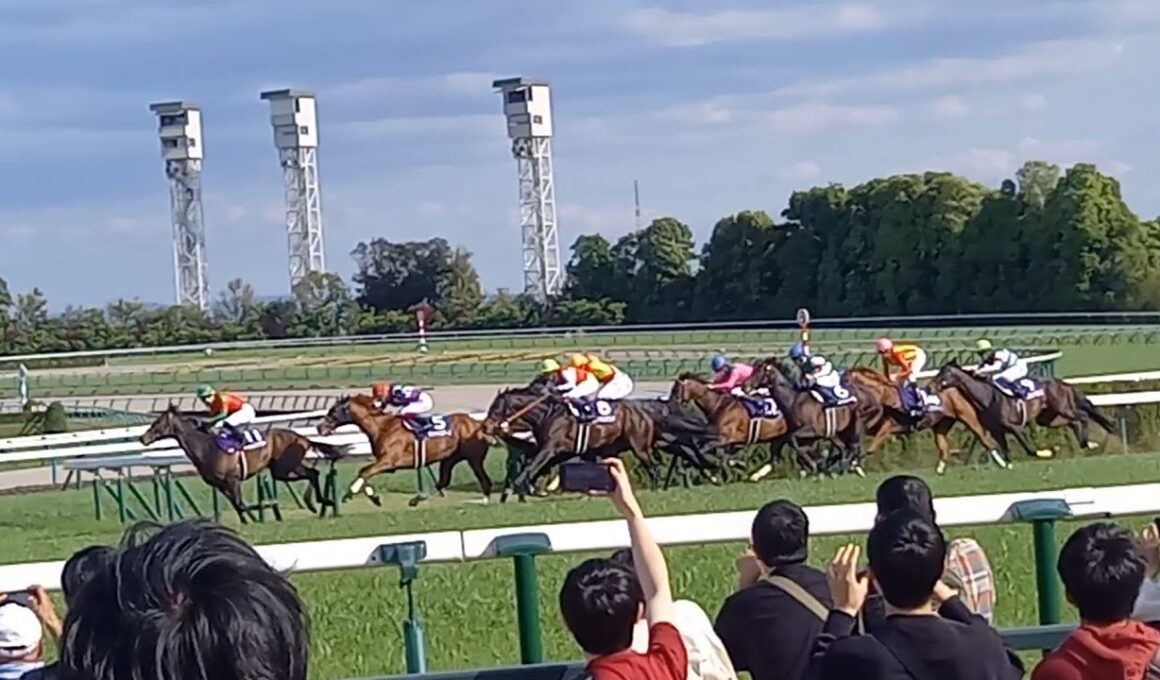 2025 天皇賞・春(GⅠ)　ヘデントール(D.レーン)　京都競馬場🏇