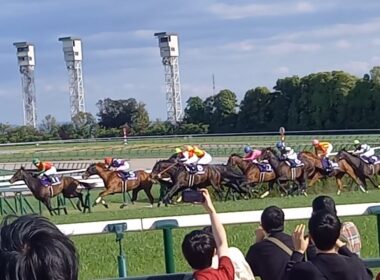 2025 天皇賞・春(GⅠ)　ヘデントール(D.レーン)　京都競馬場🏇
