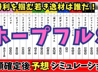 【ホープフルステークス2024 】枠順確定後シミュレーション クロワデュノールは3枠6番　マスカレードボールは大外8枠18番