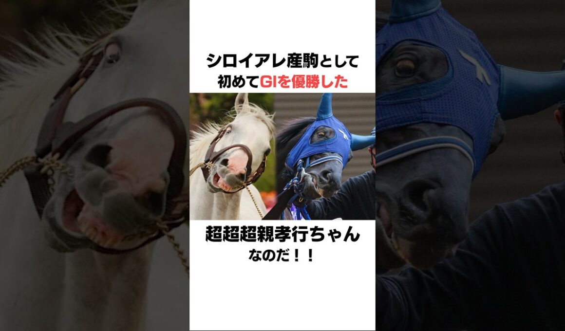 ユーバーレーベンの面白い雑学#競馬