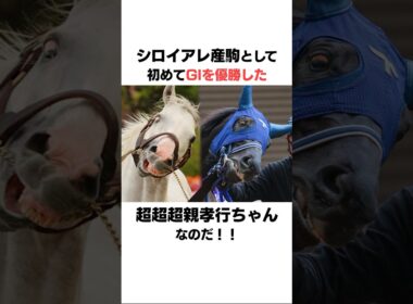 ユーバーレーベンの面白い雑学#競馬