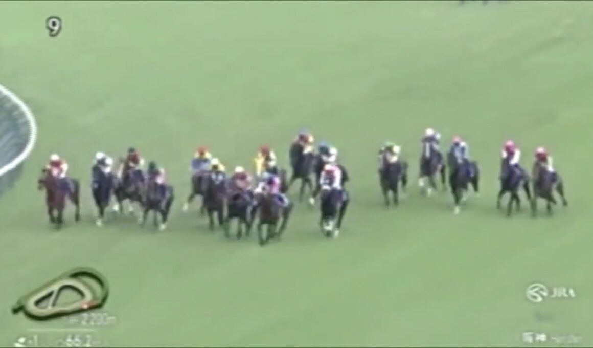 2025年宝塚記念　ラジオ日本実況　メイショウタバル、親子制覇！ゴルシ父さんに父の日のプレゼント！