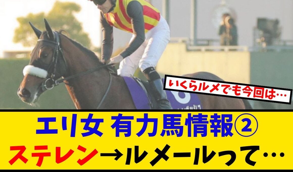 【エリザベス女王杯】「有力馬情報② ステレンボッシュ→ルメール騎乗ってどうなの？？？ 」に対するみんなの反応【反応集】