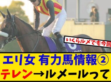 【エリザベス女王杯】「有力馬情報② ステレンボッシュ→ルメール騎乗ってどうなの？？？ 」に対するみんなの反応【反応集】