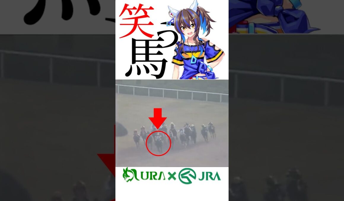 【目が覚める様な末脚】 #ダイタクヘリオス #マイルチャンピオンシップ #ダイイチルビー #競馬 #ウマ娘 #シンデレラグレイ