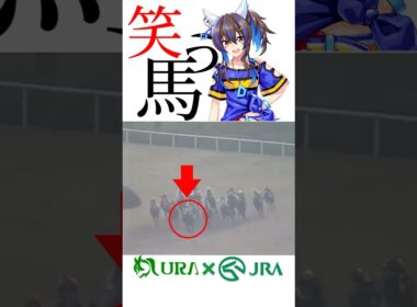 【目が覚める様な末脚】 #ダイタクヘリオス #マイルチャンピオンシップ #ダイイチルビー #競馬 #ウマ娘 #シンデレラグレイ