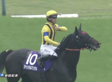 2025年安田記念　ジャンタルマンタル
