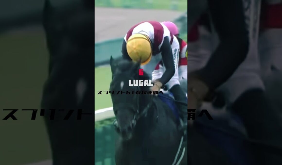 【競馬MAD】高松宮記念2025 doppelgänger／Creepy Nuts #競馬 #高松宮記念