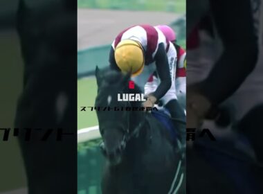 【競馬MAD】高松宮記念2025 doppelgänger／Creepy Nuts #競馬 #高松宮記念