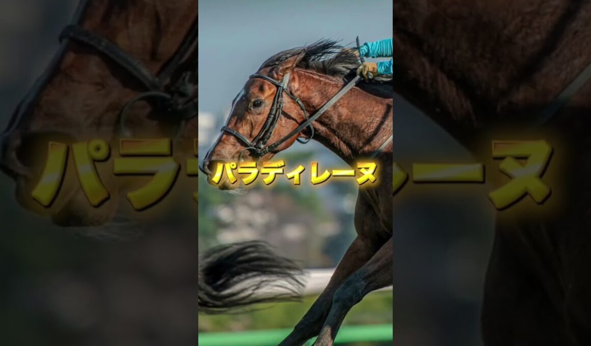 G1エリザベス女王杯の注目馬を3頭紹介＃競馬＃競馬予想＃レガレイラ＃パラディレーヌ＃エリカエクスプレス