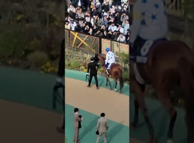 【本物のレジェンド】1997年にフェブラリーSがGⅠに昇格されて以降、28年連続で騎乗している武豊騎手