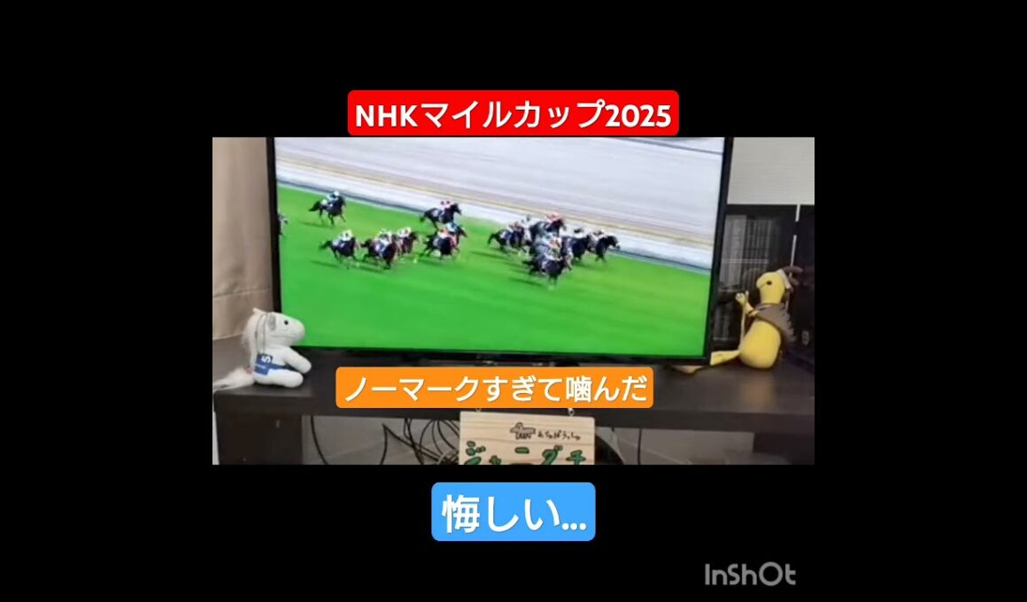 NHKマイルカップ2025🐴パンジャタワー×松山弘平