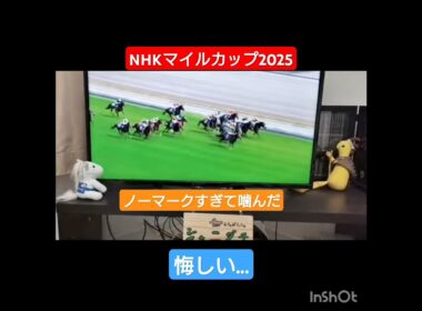 NHKマイルカップ2025🐴パンジャタワー×松山弘平