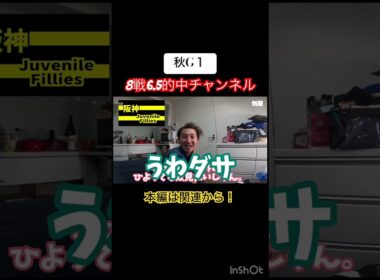 【阪神ジュベナイルフィリーズ予想2024】連続的中の最中！2歳牝馬も当てちゃうよ！ #競馬 #競馬予想 #阪神ジュベナイルフィリーズ #馬券 #馬券予想  #コートアリシアン #ブラウンラチェット