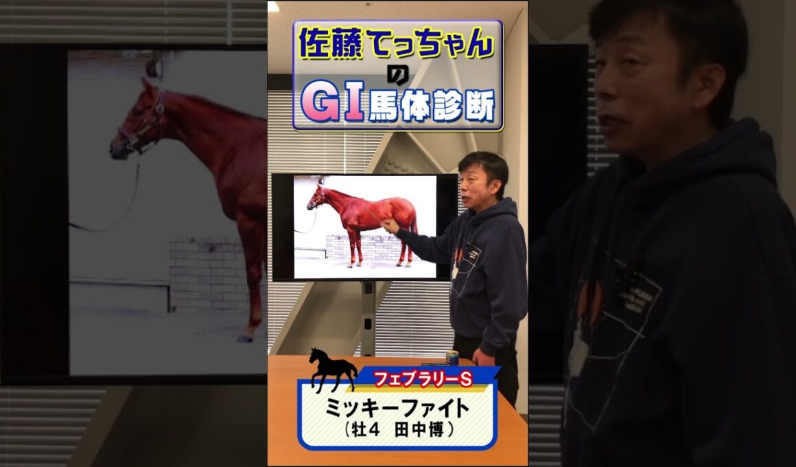【2025年 フェブラリーS】ミッキーファイト馬体診断「距離に融通」 #shorts #競馬 #予想