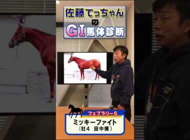 【2025年 フェブラリーS】ミッキーファイト馬体診断「距離に融通」 #shorts #競馬 #予想