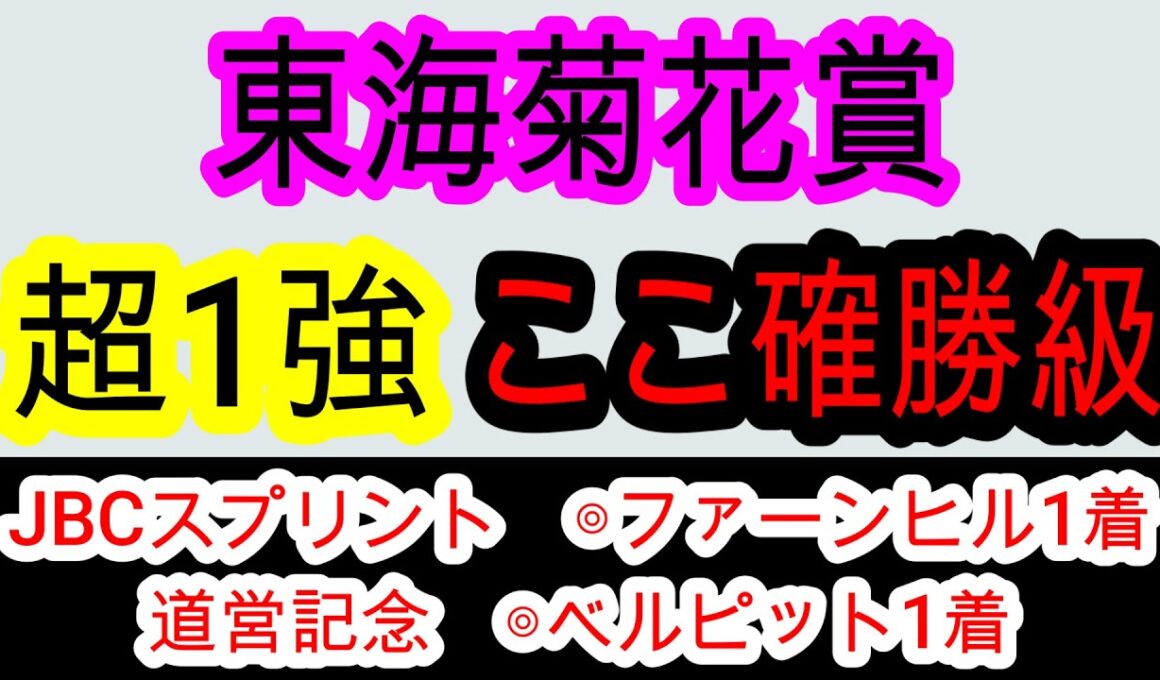 【競馬予想】東海菊花賞2025　3連続地方重賞的中へ確信！　シンメデージーに迫るならあの馬1択！！