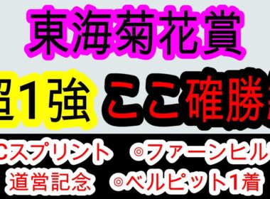 【競馬予想】東海菊花賞2025　3連続地方重賞的中へ確信！　シンメデージーに迫るならあの馬1択！！