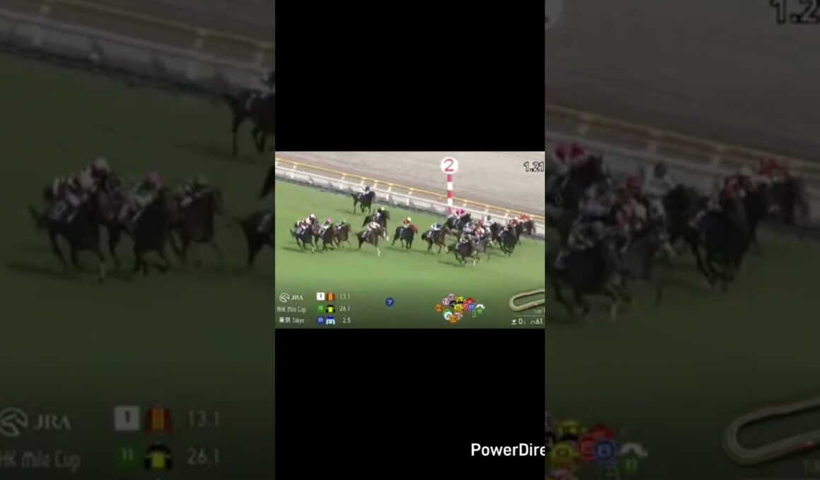 NHK マイルカップ本命マジックサンズ単勝のみで勝負！！まさかの結末！？？