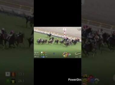 NHK マイルカップ本命マジックサンズ単勝のみで勝負！！まさかの結末！？？