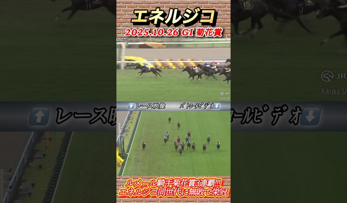【菊花賞】エネルジコが同世代には無敗で栄冠！ルメール騎手菊花賞3連覇達成‼︎　#競馬  #菊花賞  #エネルジコ  #ルメール  #shorts