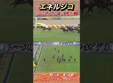 【菊花賞】エネルジコが同世代には無敗で栄冠！ルメール騎手菊花賞3連覇達成‼︎　#競馬  #菊花賞  #エネルジコ  #ルメール  #shorts