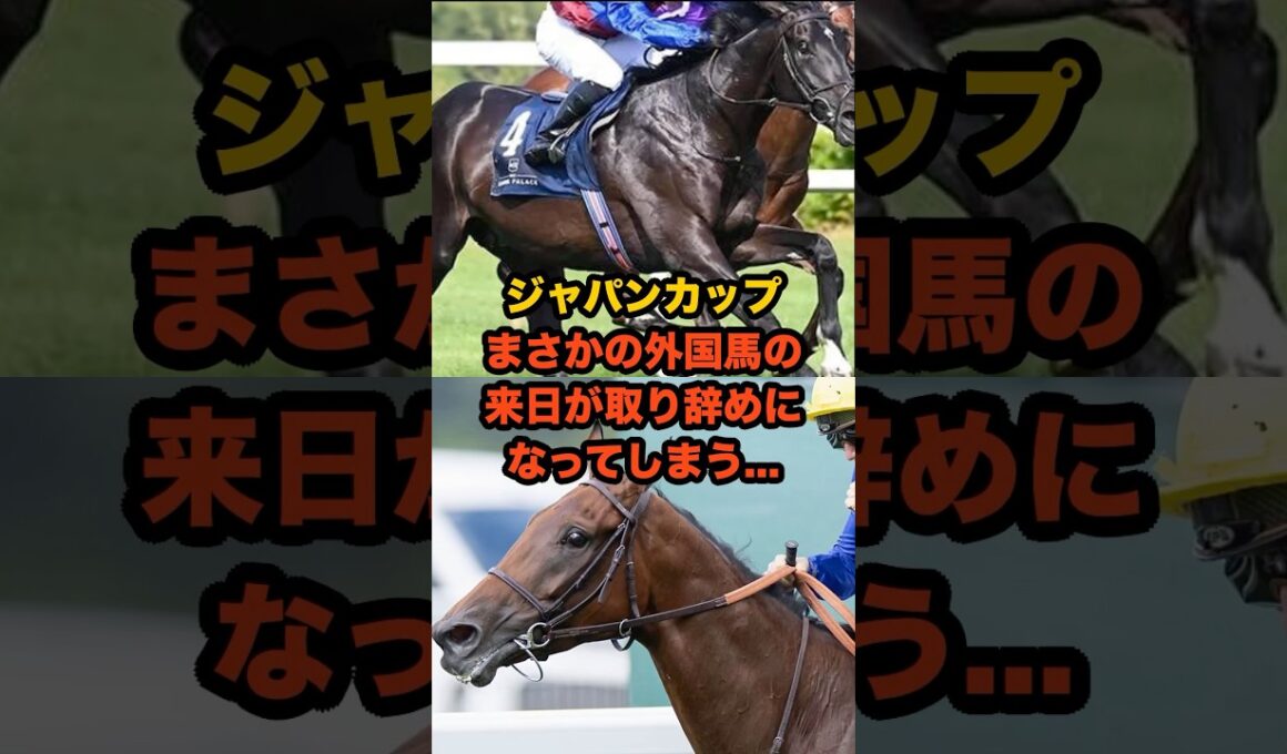 招待受諾からわずか2日…外国馬の来日取りやめにファン衝撃#競馬 #ジャパンC #ジャパンカップ