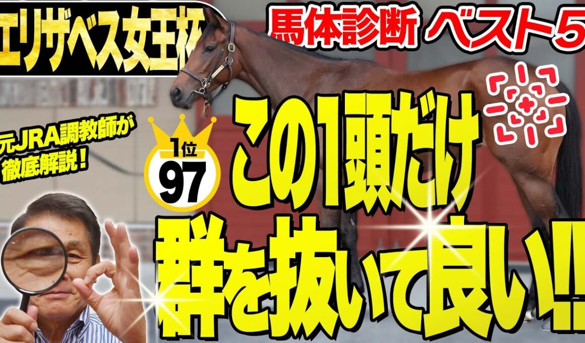 【エリザベス女王杯2025】中村均元調教師が馬体診断ベスト５を発表　２位との点差がなんと3点！『抜群にいい』１頭とは？《東スポ競馬》