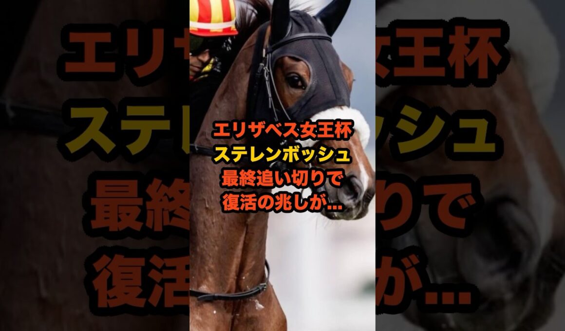 不振続きの桜花賞馬ステレンボッシュが見せた輝き…ルメールとのコンビで再起なるか #競馬 #エリザベス女王杯 #ステレンボッシュ